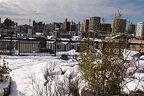 ** Hotel Tokyo Guest House 2020 Japonsko